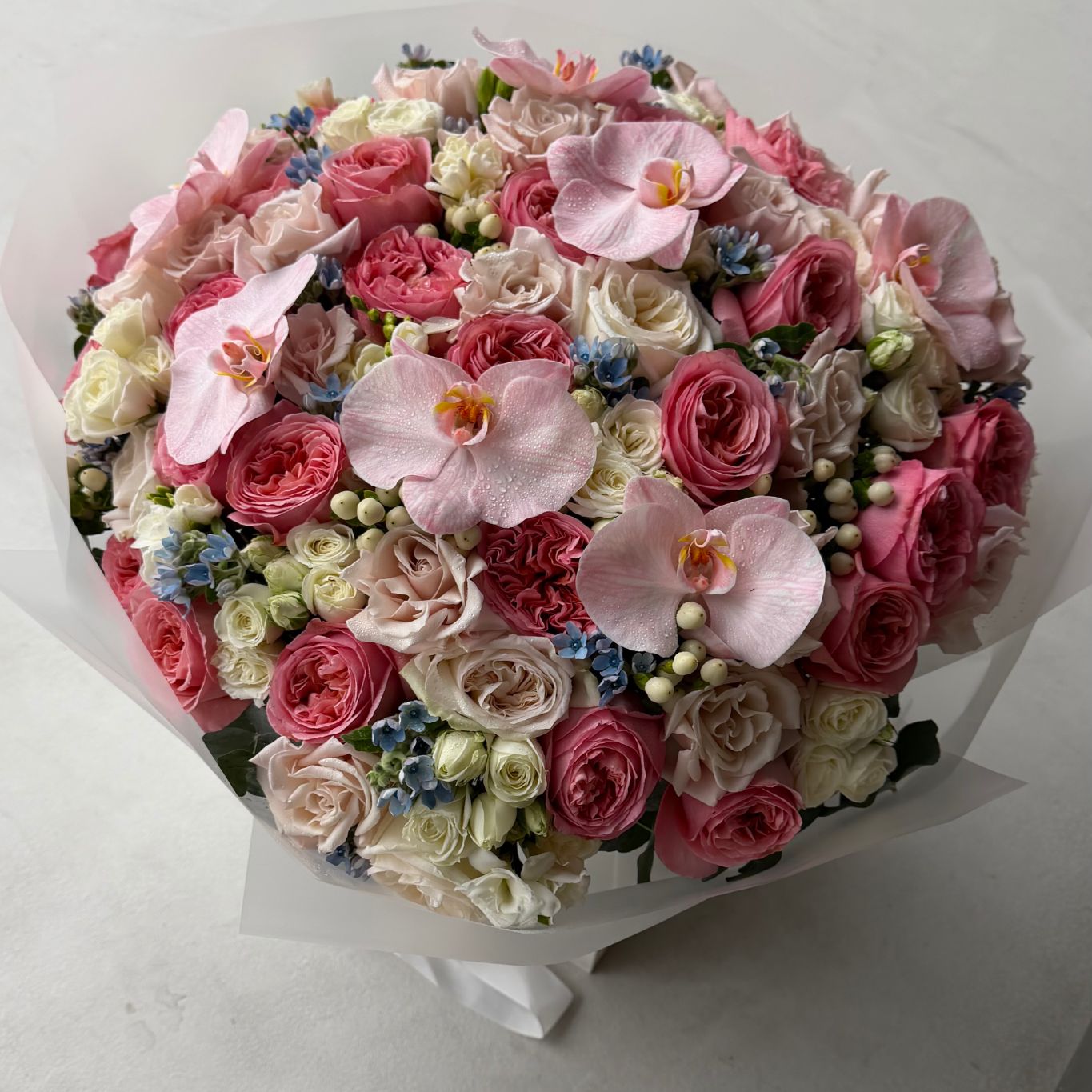 Blush Royale Elegance