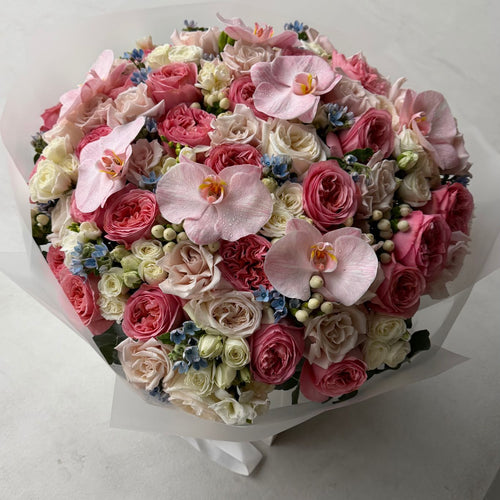Blush Royale Elegance