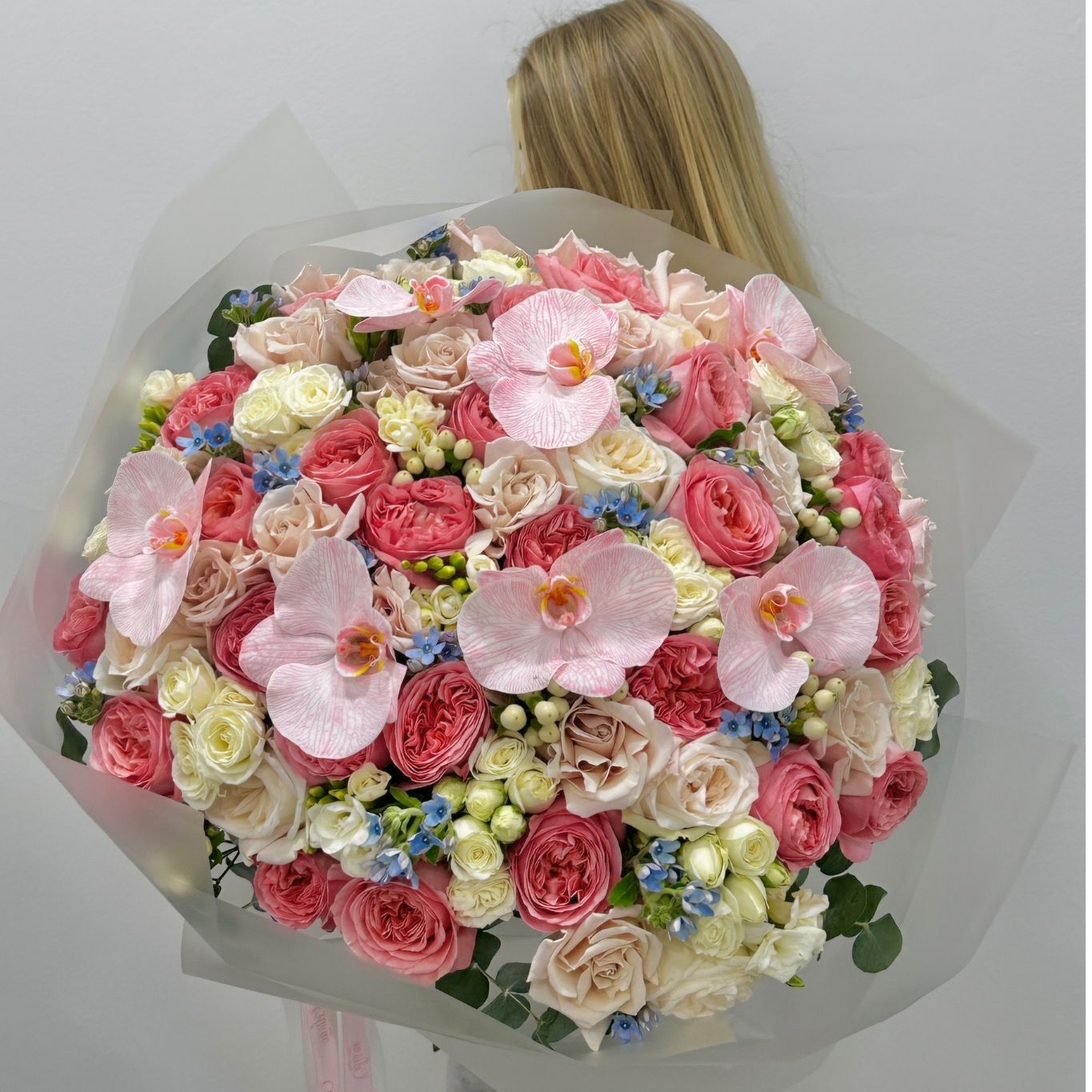 Blush Royale Elegance