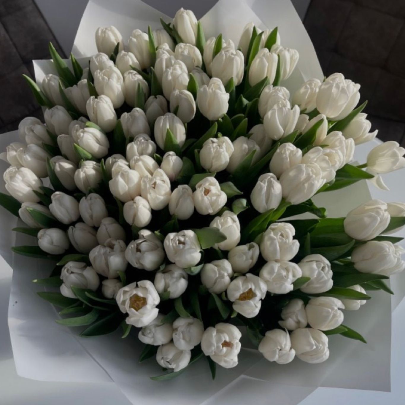 Luxury White Tulips