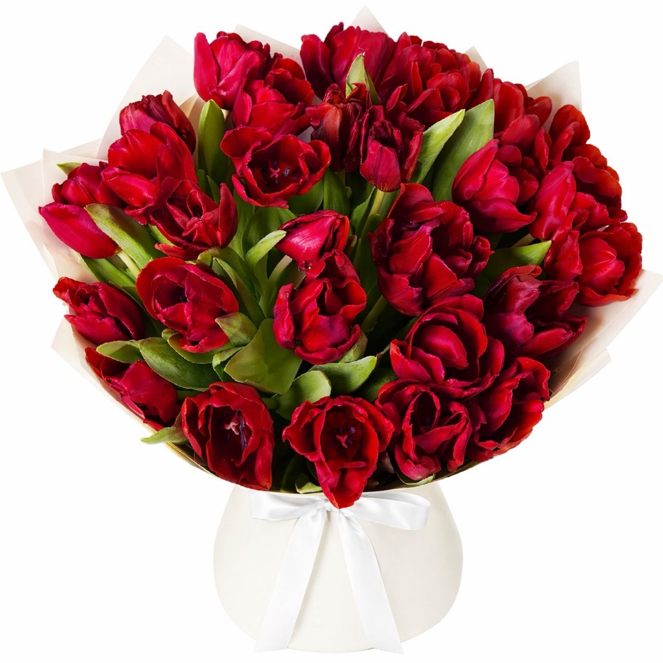 Luxury Red Tulips