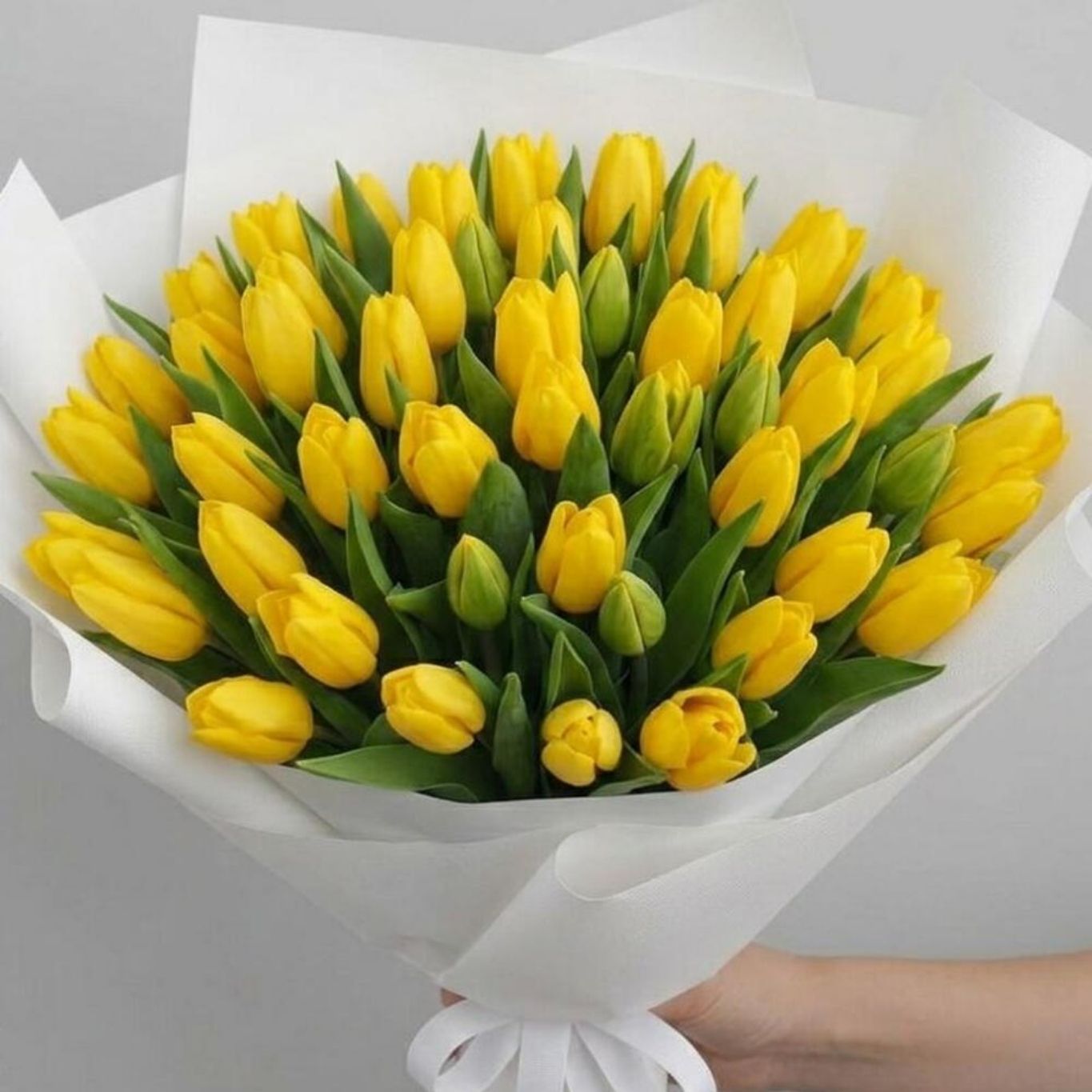 Luxury Yellow Tulips