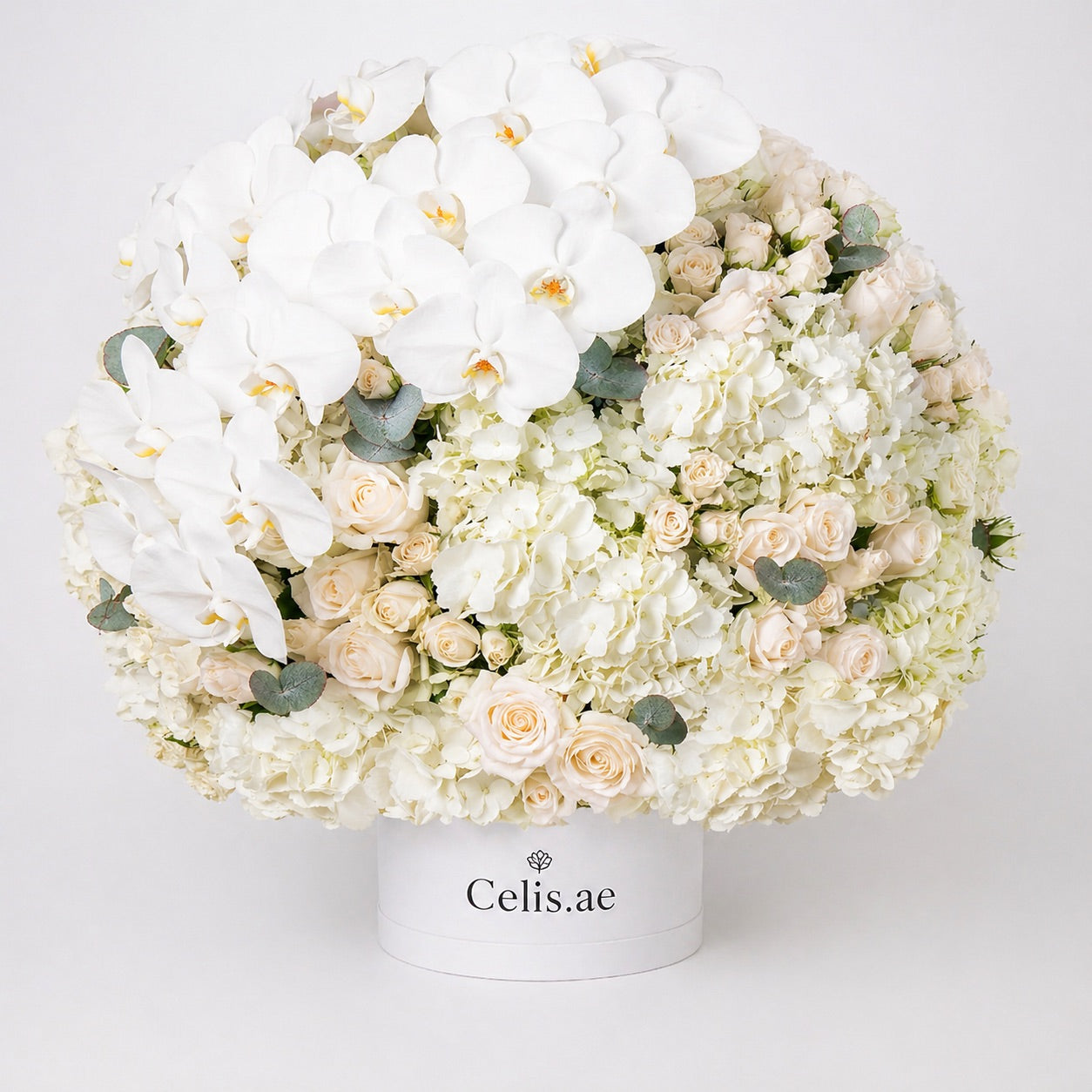 Royal Orchid Ivory Box